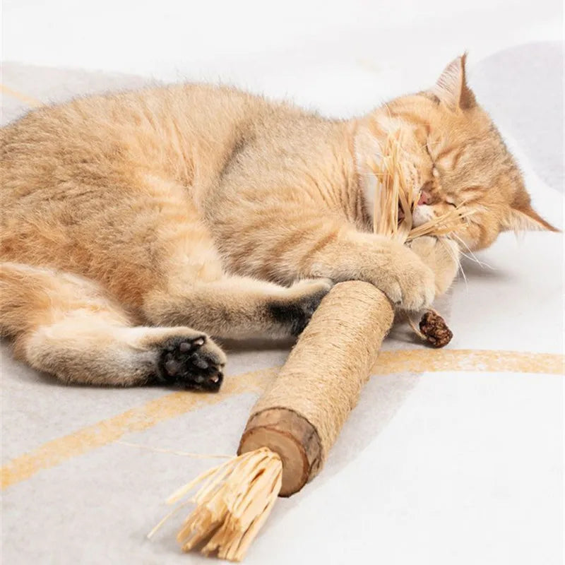 PawsyJoy Cat Toys Natural Matatabi