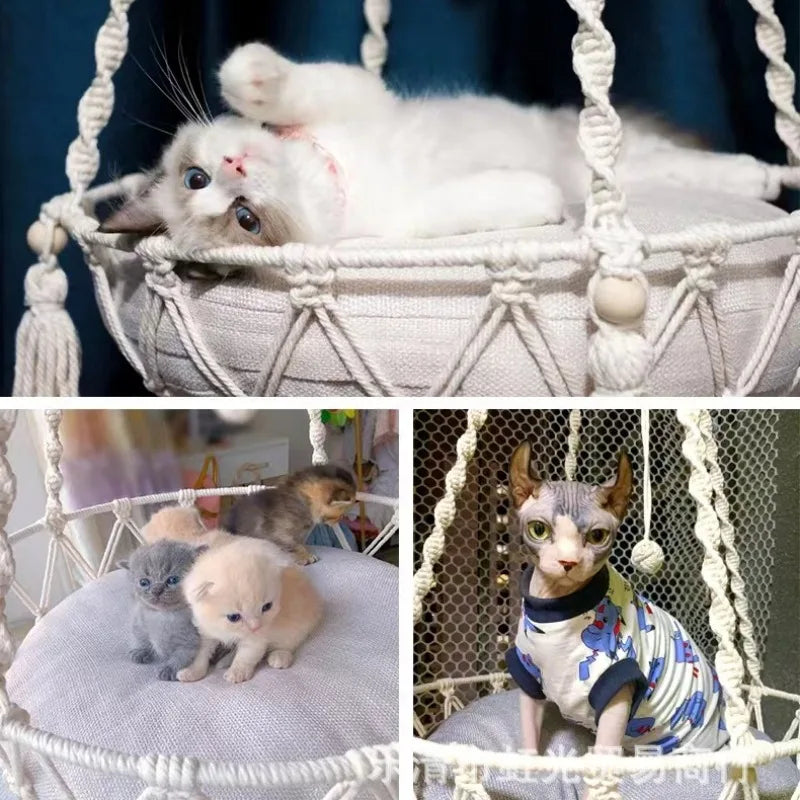 Pawsy Joy Hammock Cat Swing