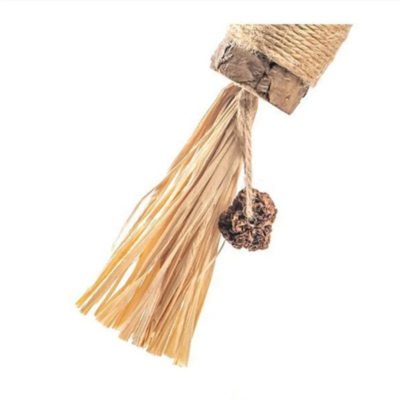PawsyJoy Cat Toys Natural Matatabi