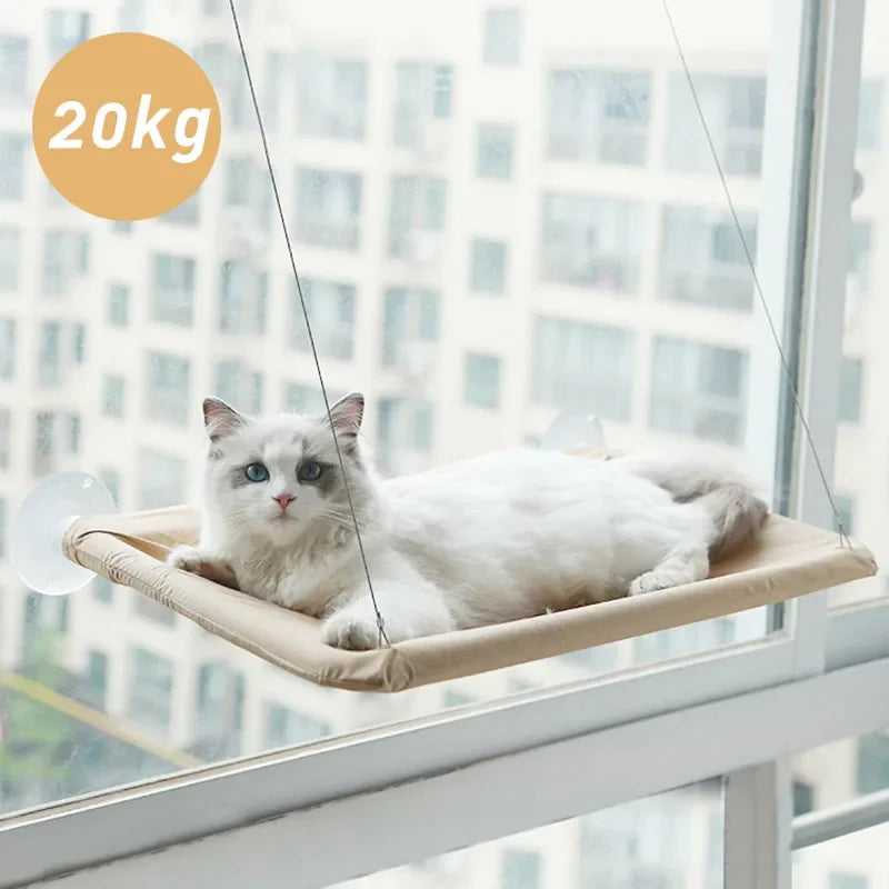 Soso Kitty Hammock Hanging